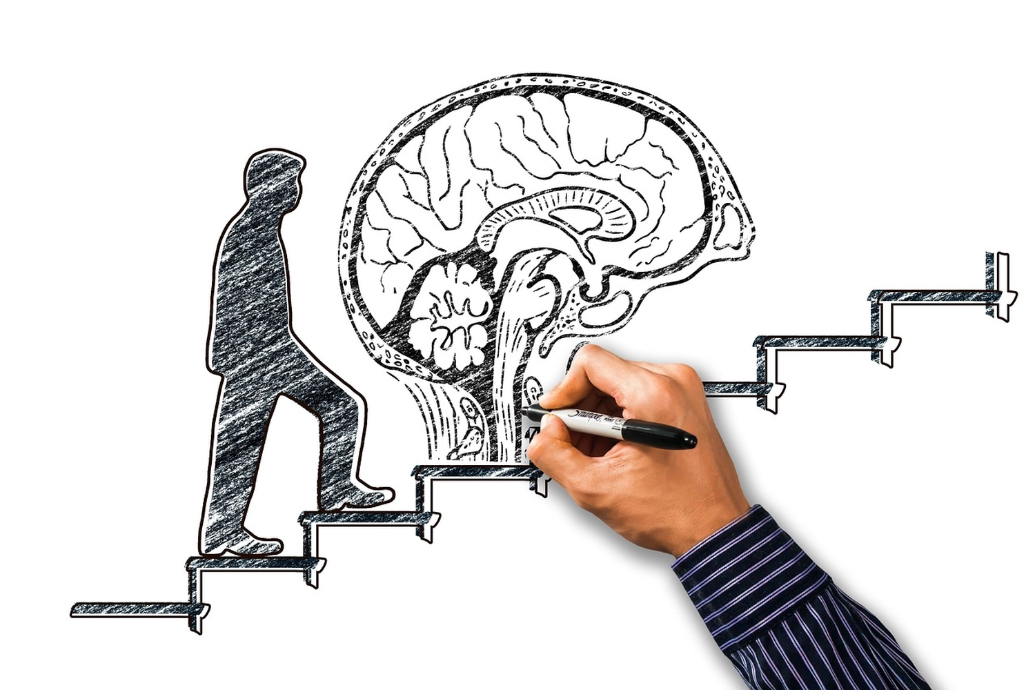 Khapova - Psychologische Beratung - Eine Hand zeichnet eine Treppe, die zu einem großen Diagramm eines menschlichen Gehirns hinaufführt, auf dem die Silhouette einer Person zu sehen ist, die die Stufen hinaufsteigt.